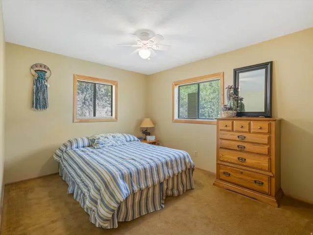 Carpeted room featuring a ceiling fan with light fixture, two windows with wood trim, and neutral-toned walls