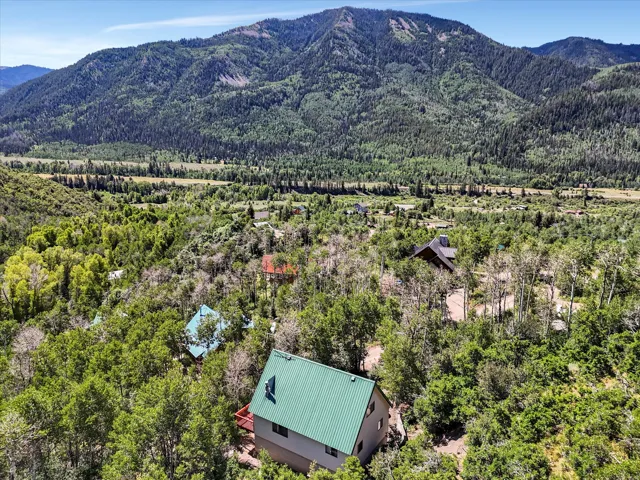 Green metal roof dwelling nestled among dense trees