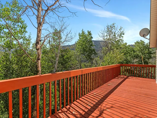 Expansive outdoor deck featuring wood flooring and railing, surrounded by lush trees and natural landscaping
