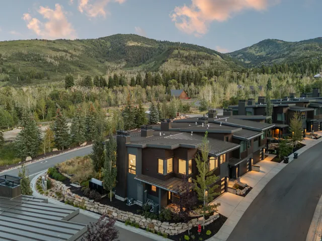 Contemporary architectural style featuring dark-toned siding and multiple large windows