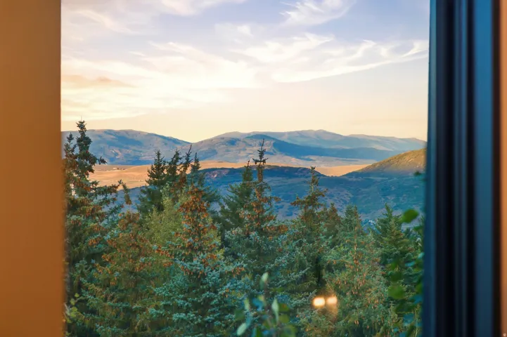 Expansive mountain scenery with evergreen trees
