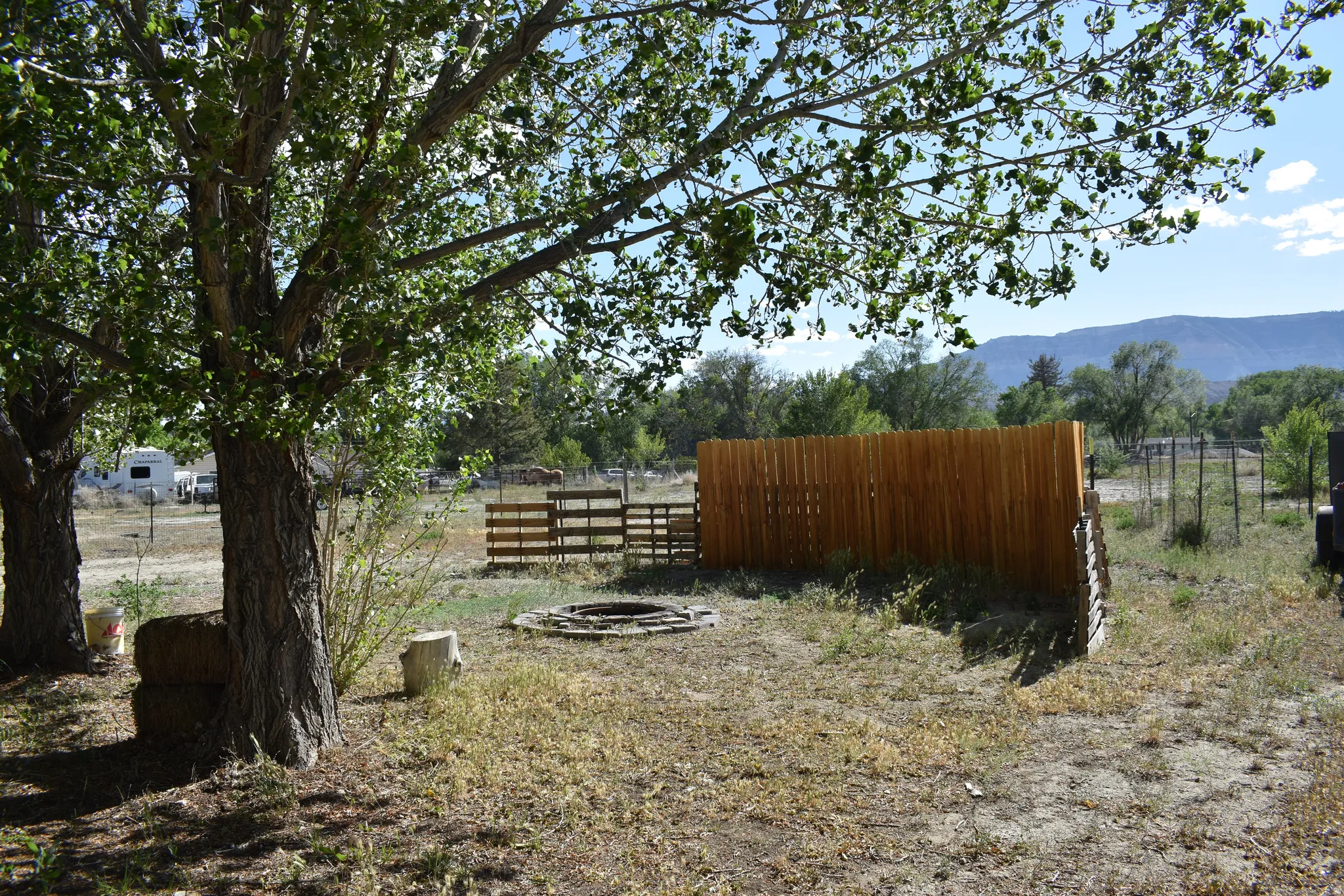 Expansive outdoor area featuring mature trees providing shade, a wood privacy fence, and a designated fire pit area