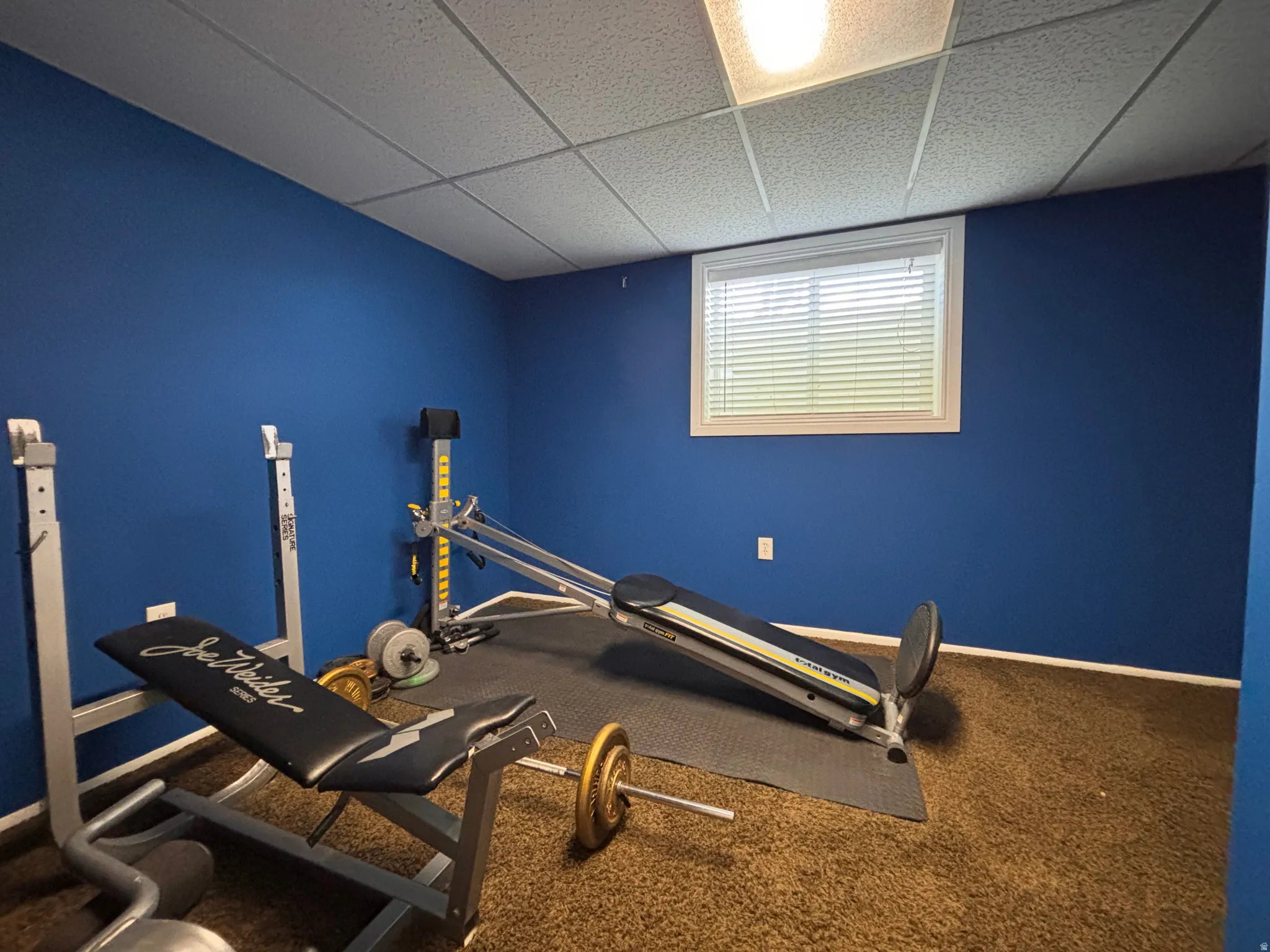 Room featuring blue walls, carpet flooring, and a drop ceiling with recessed lighting