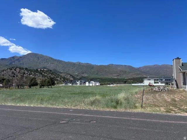 Expansive undeveloped land parcel featuring natural grass, a paved road frontage, and a backdrop of mountainous terrain