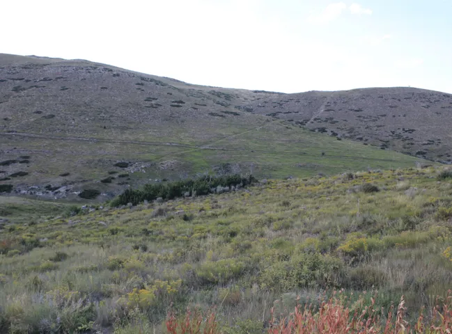 View of mountain background