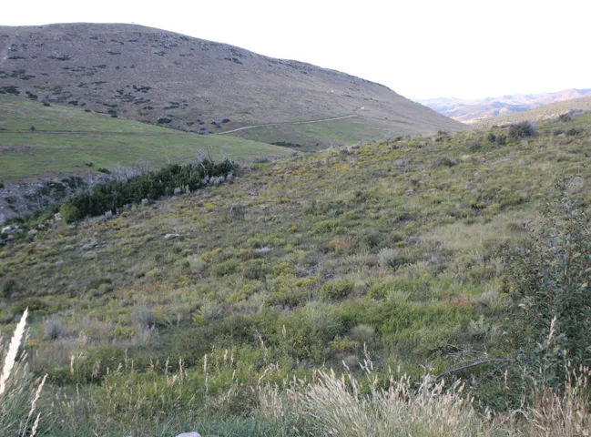View of mountain backdrop