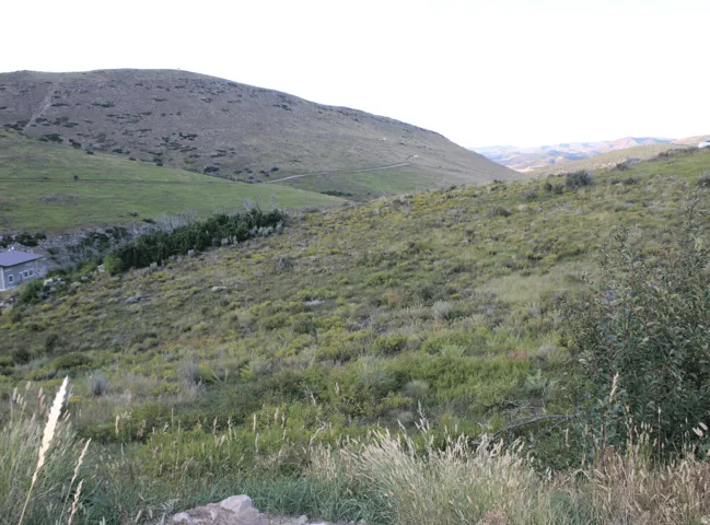 View of mountain background