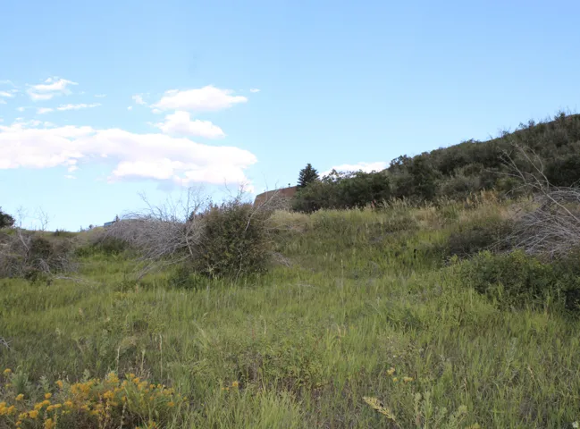 View of nature with rural landscape