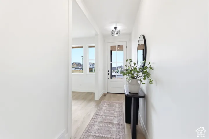 Entryway featuring a white paneled door with glass inserts, wood-finish flooring, and a modern flush-mount ceiling light