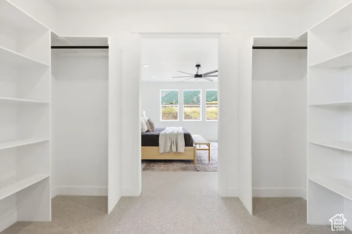 Walk-through closet featuring built-in shelving, hanging rods, and light-toned carpeting