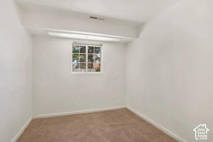 Neutral tone wall paint, window with grid panes, recessed ceiling feature, and carpet flooring