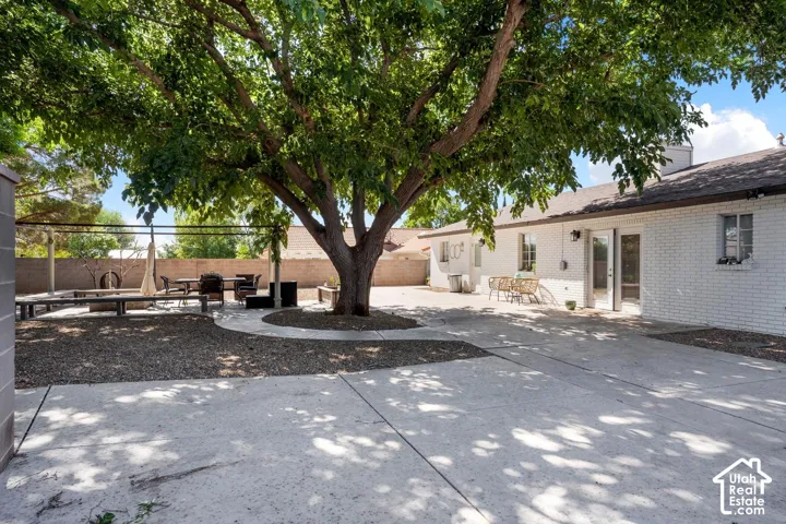Expansive concrete patio with a large shade tree, white brick exterior, and multiple glass-paned doors