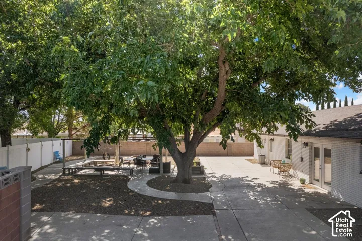 Expansive backyard featuring mature trees, concrete patio, and a dedicated gravel area