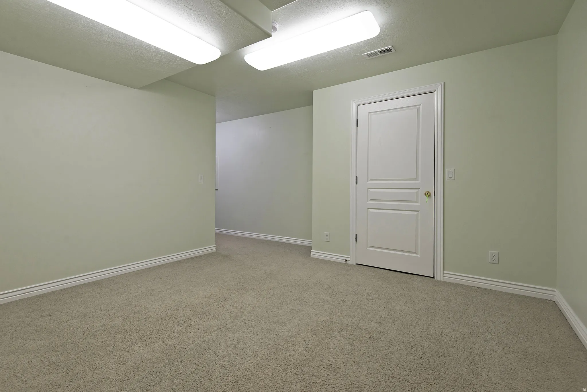 Carpeted floor with light green walls, white baseboards, and a white two-panel door with gold-toned hardware