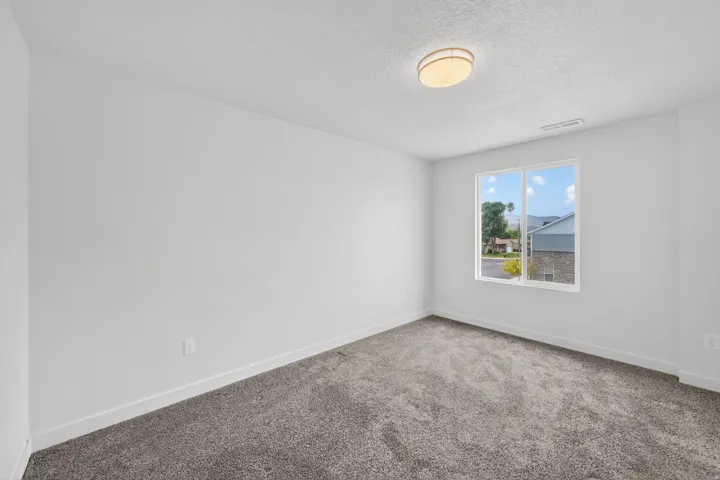 Neutral-toned room featuring a large window, soft gray carpeting, and a flush-mount ceiling light fixture