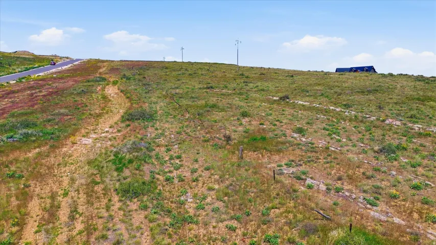 Expansive undeveloped lot featuring natural vegetation and a paved road running along the perimeter