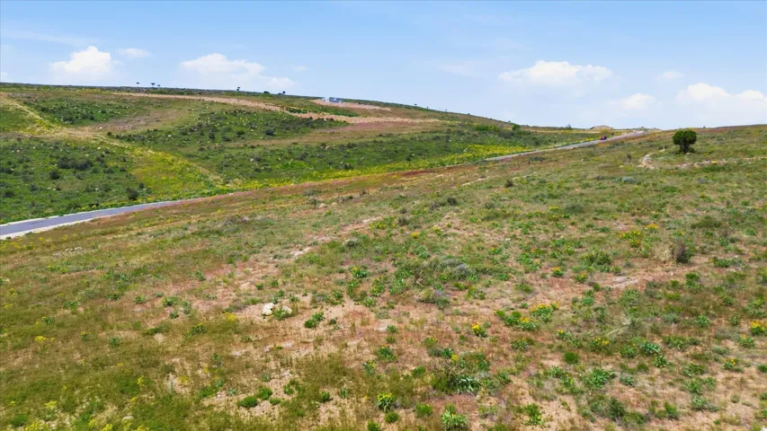 Expansive, undulating terrain with varied natural vegetation and scattered trees