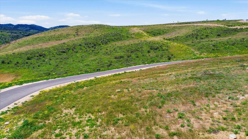 Paved road traversing rolling hills, surrounded by abundant green foliage