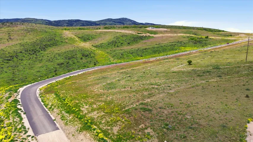 Curved paved road winding through expansive green hillsides with distant mountain range