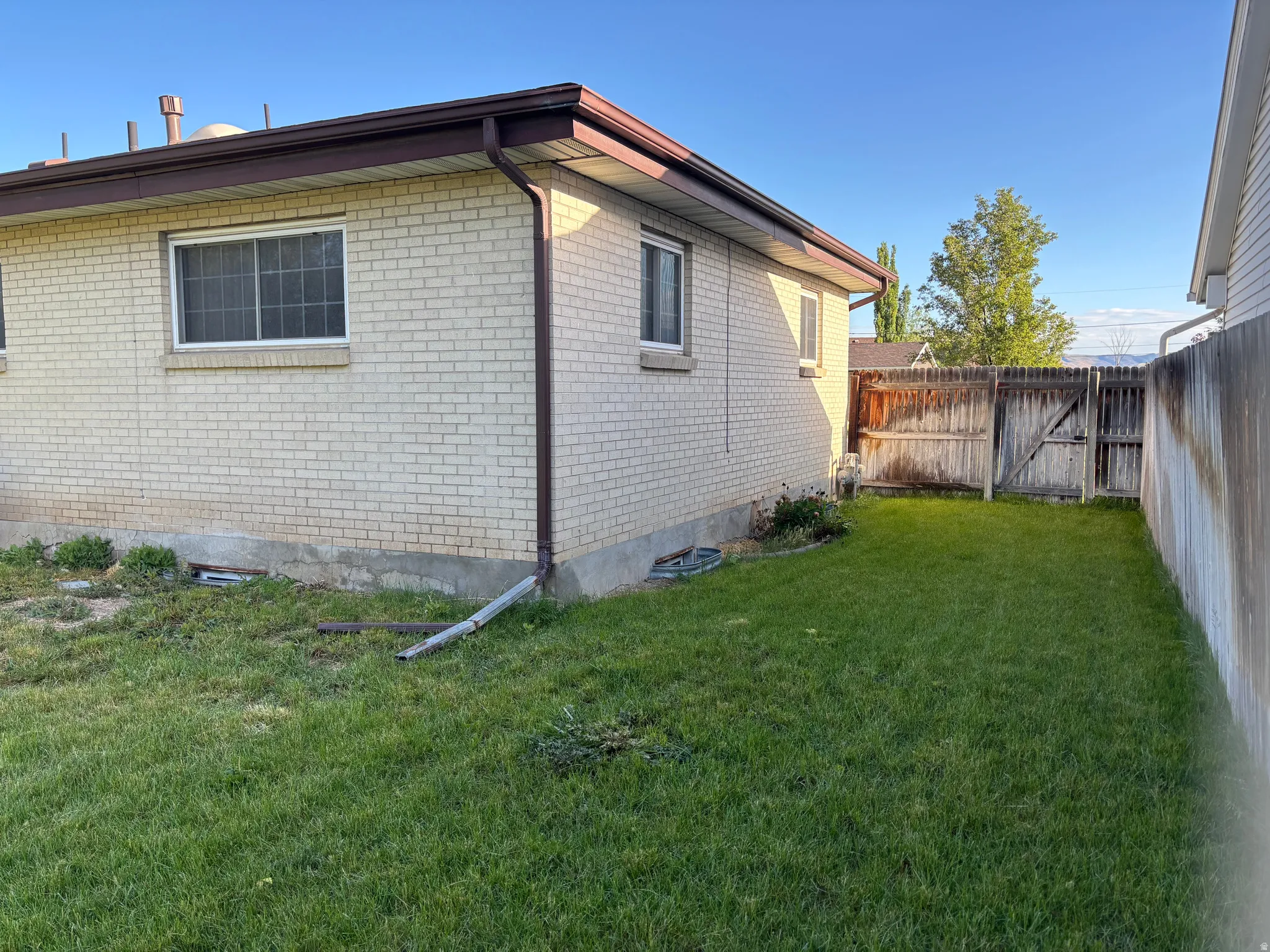 Side yard