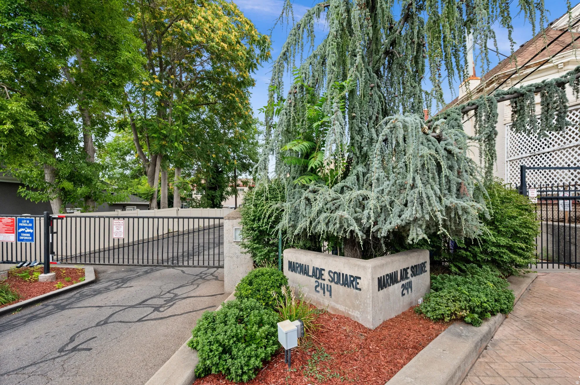 Gated entry with a concrete monument sign for "Marmalade Square 244," featuring an ornamental weeping evergreen and established landscaping