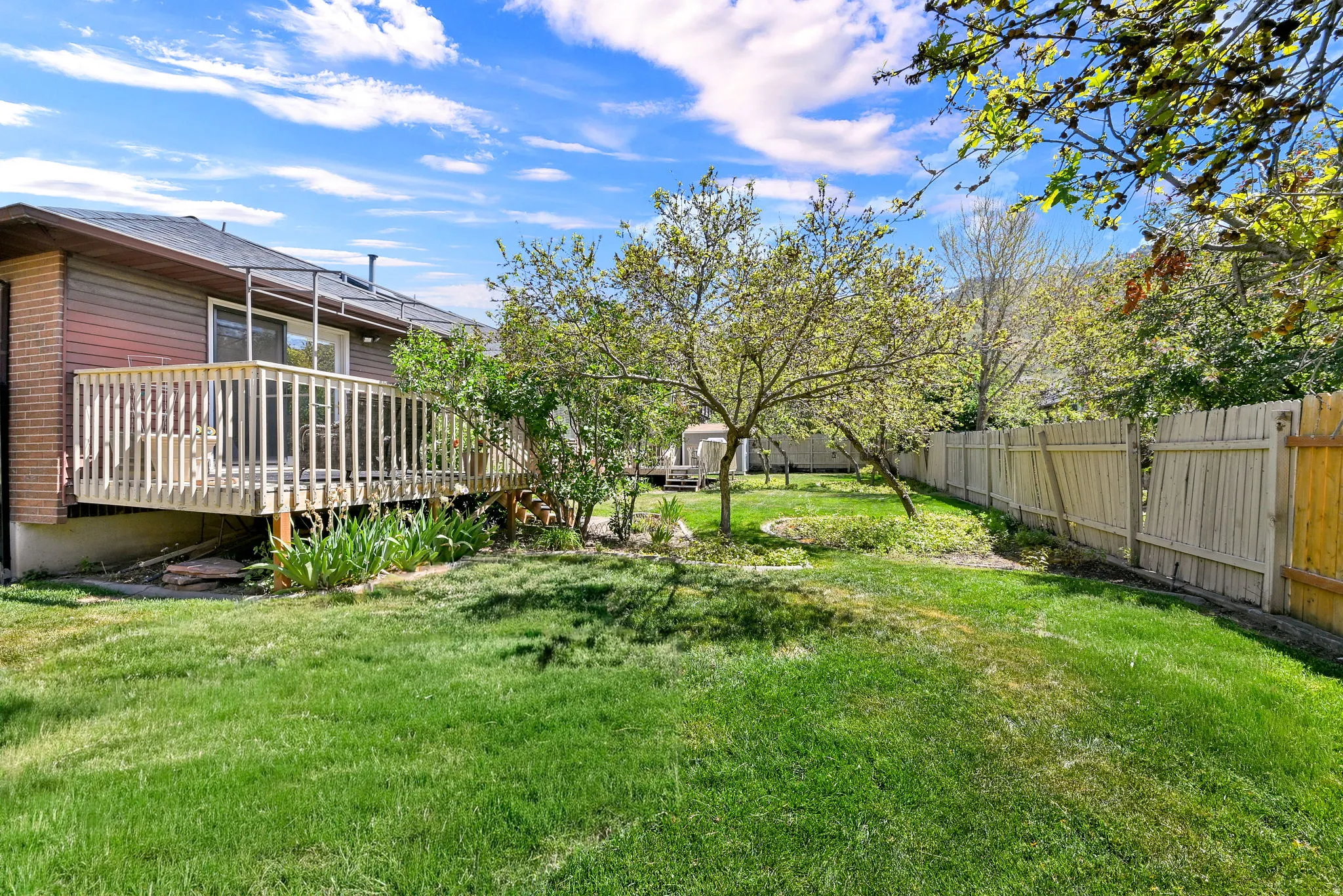 Expansive backyard featuring a natural wood deck, verdant lawn, mature trees, and a privacy fence