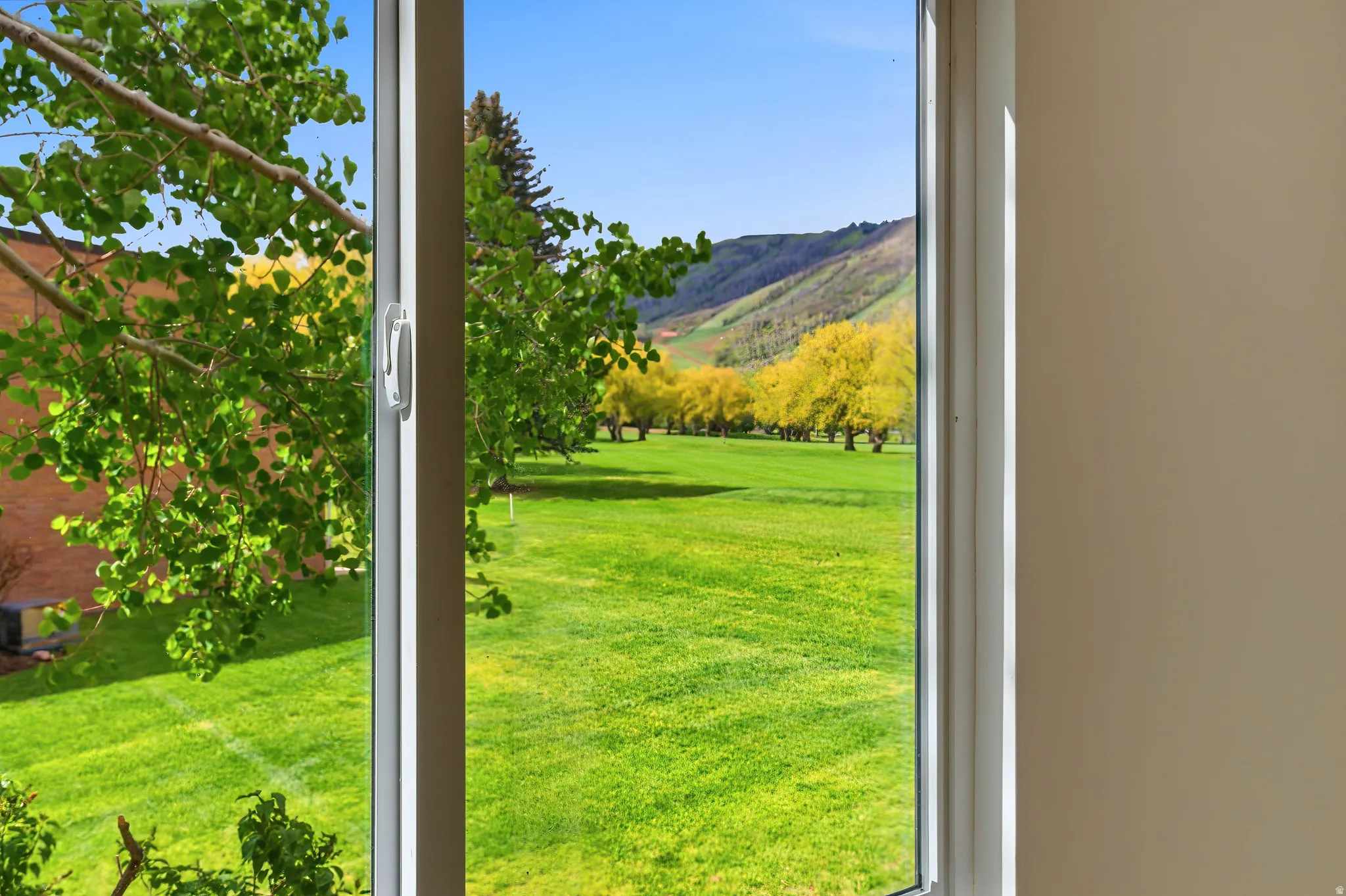 Large window framing a vibrant green landscape with mature trees and distant hills