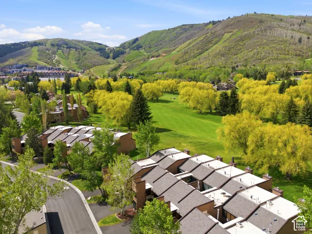 Sloped roofs on multi-unit structures border a paved roadway and green spaces