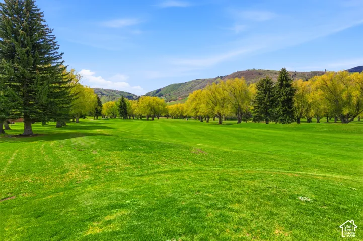 Expansive green lawn surrounded by mature trees with a mountainous backdrop