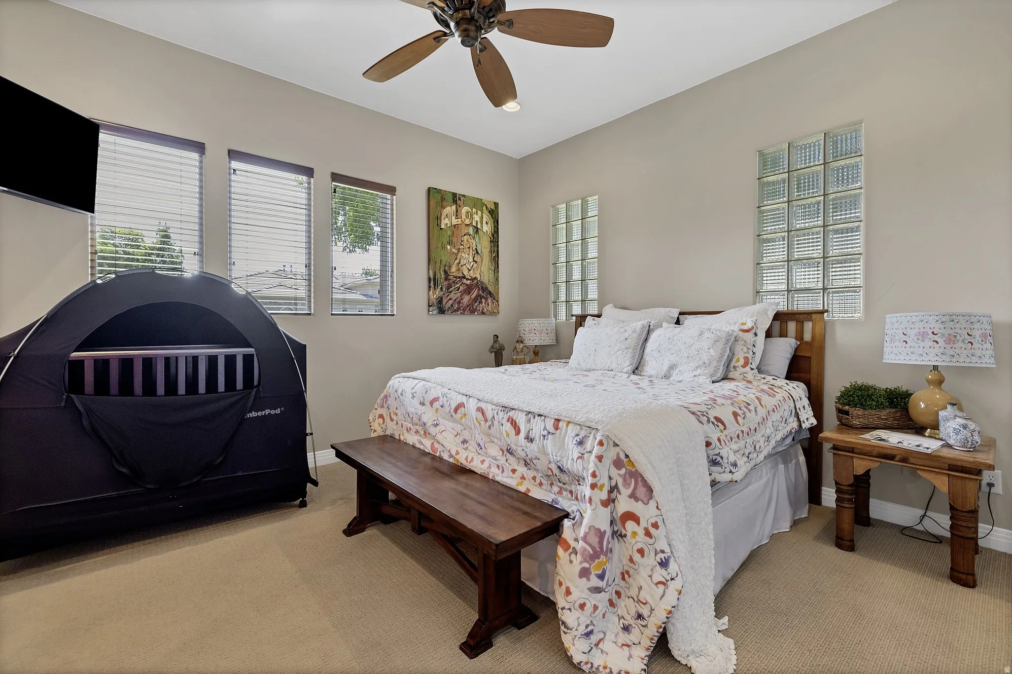 Carpeted room featuring multiple windows with blinds, glass block accents, and a ceiling fan