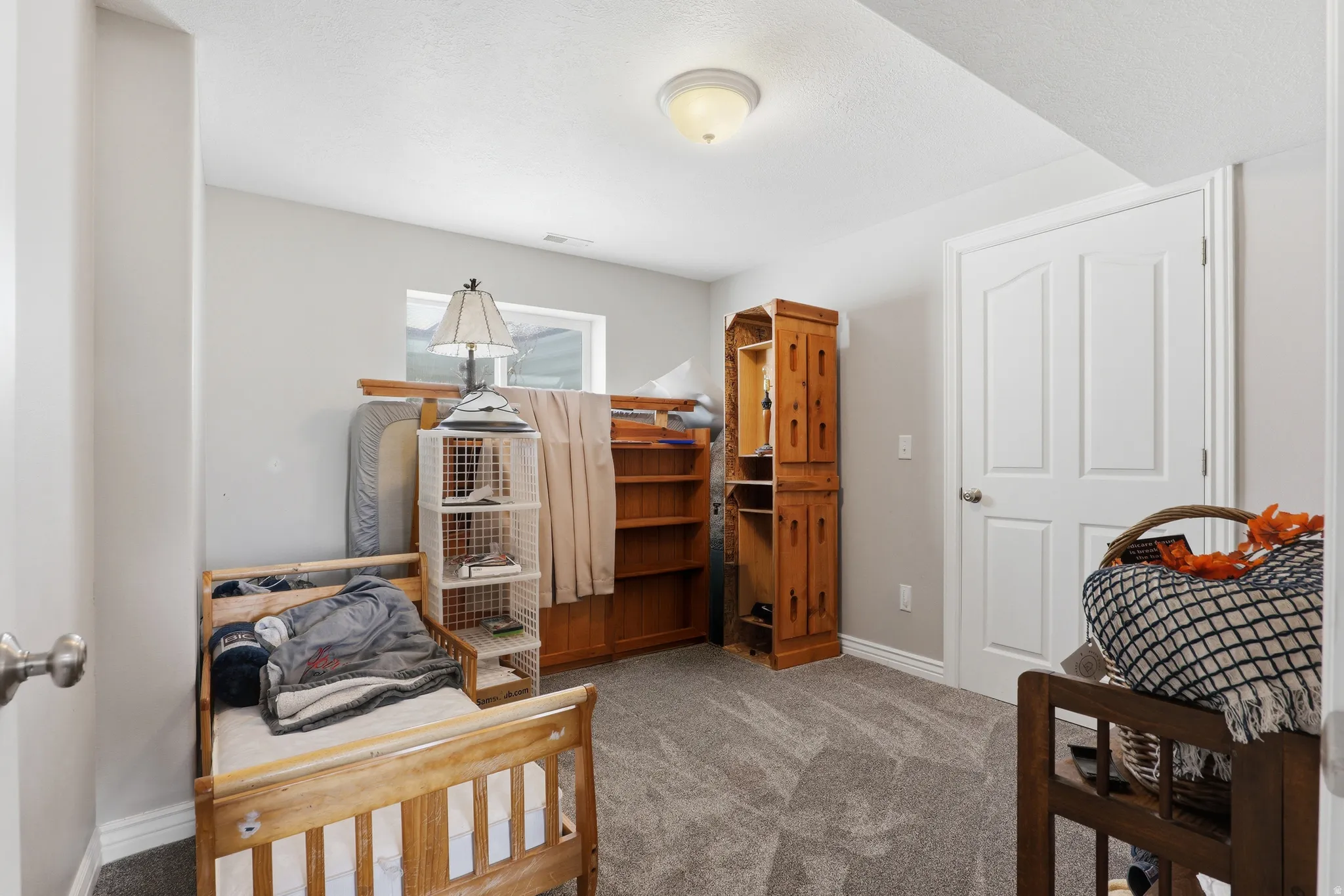 Carpeted room featuring a white paneled door, flush-mount ceiling light, and a window providing natural light