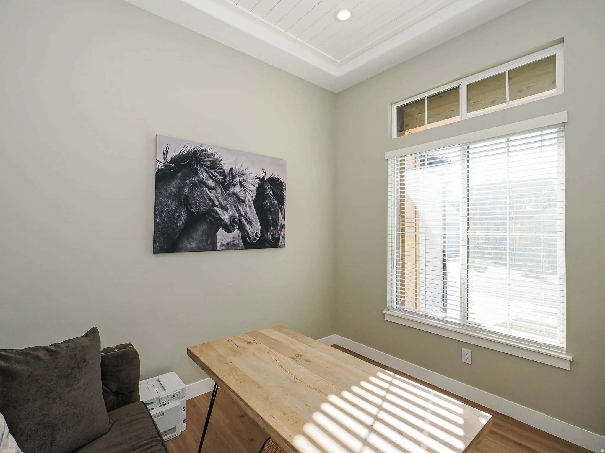 Room featuring a tray ceiling with recessed lighting, light-toned wall paint, and wood-finish flooring