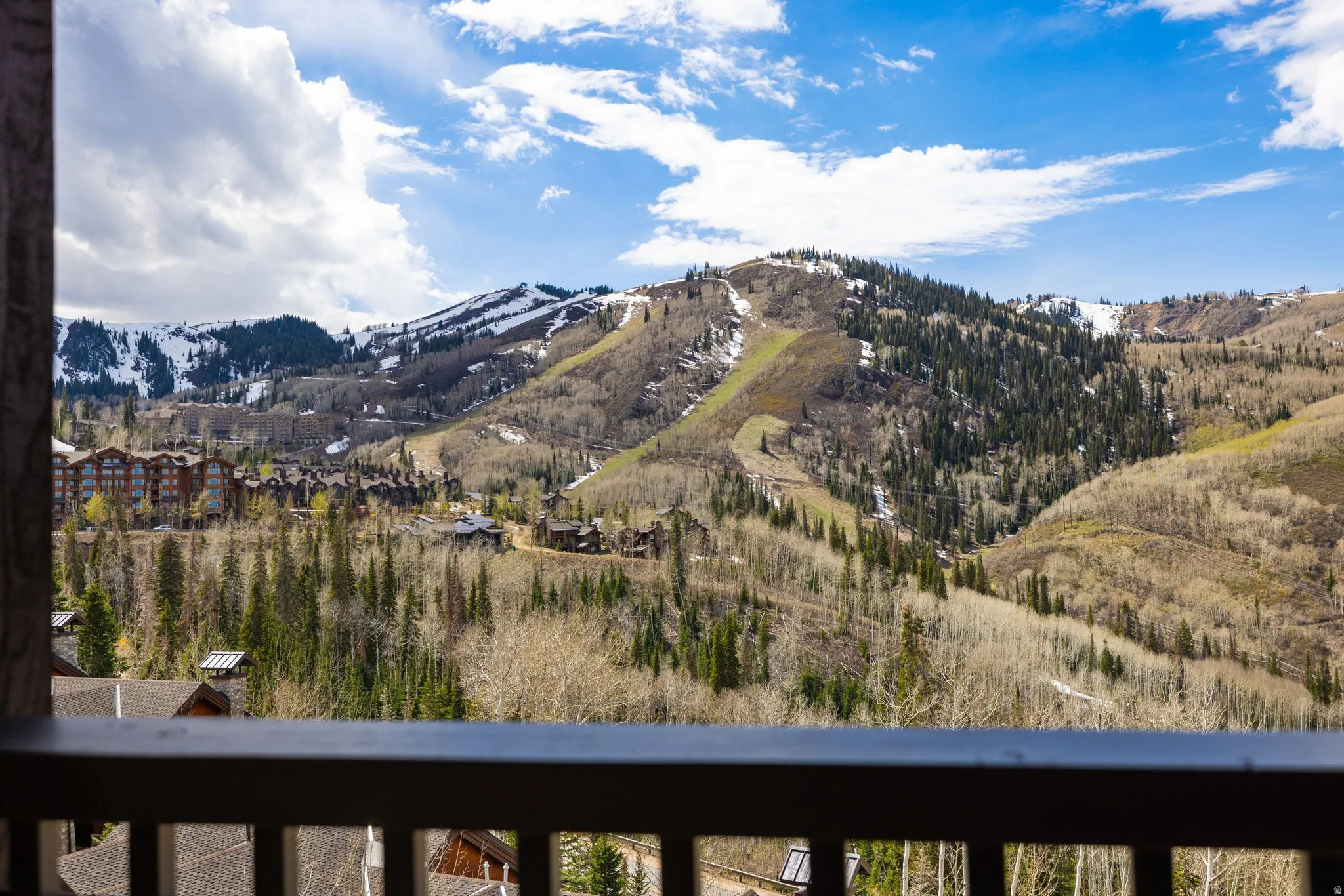 Mountain scenery featuring forested slopes and snow-capped peaks