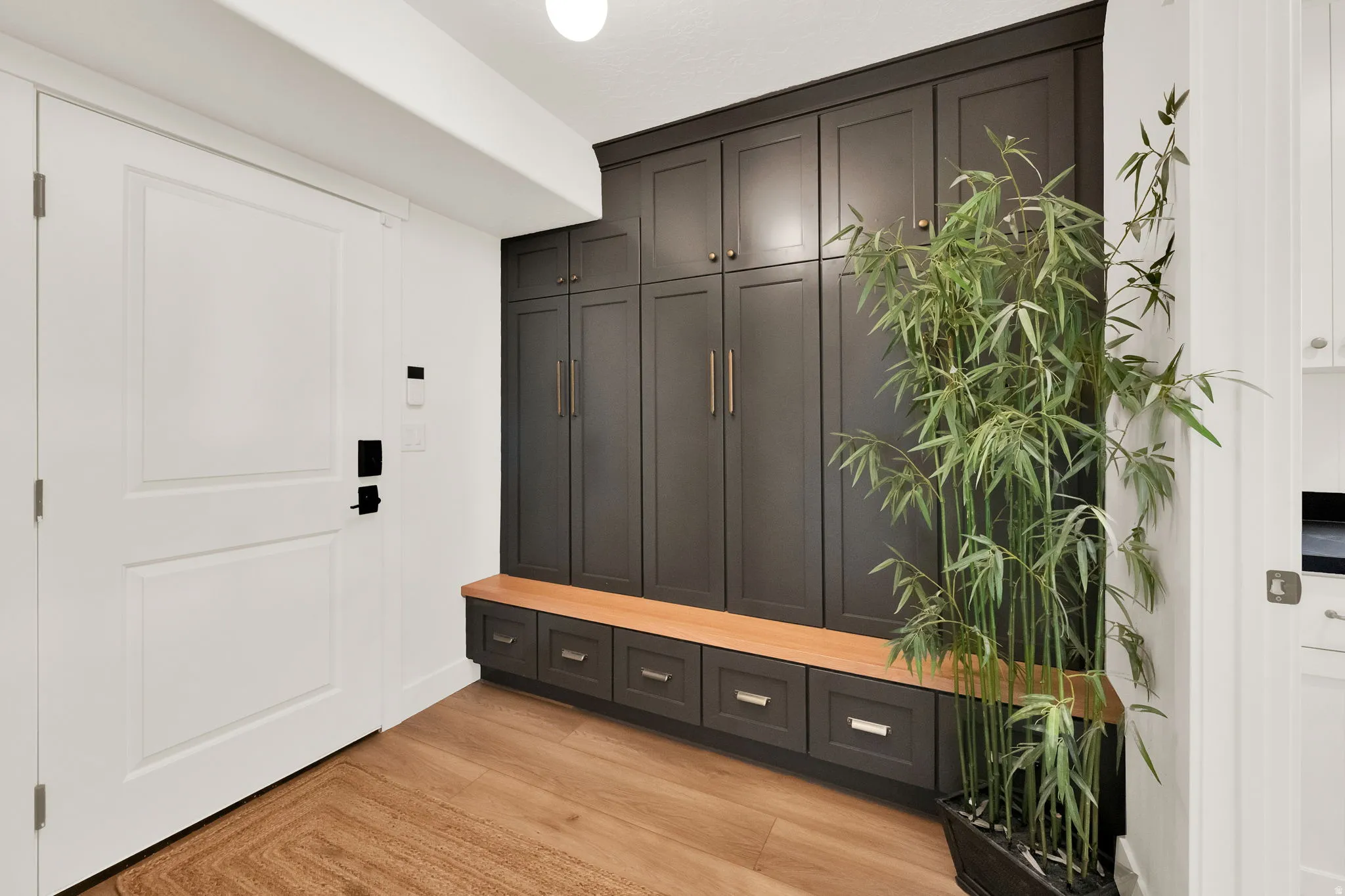Entryway featuring wood-finish flooring and a built-in storage system