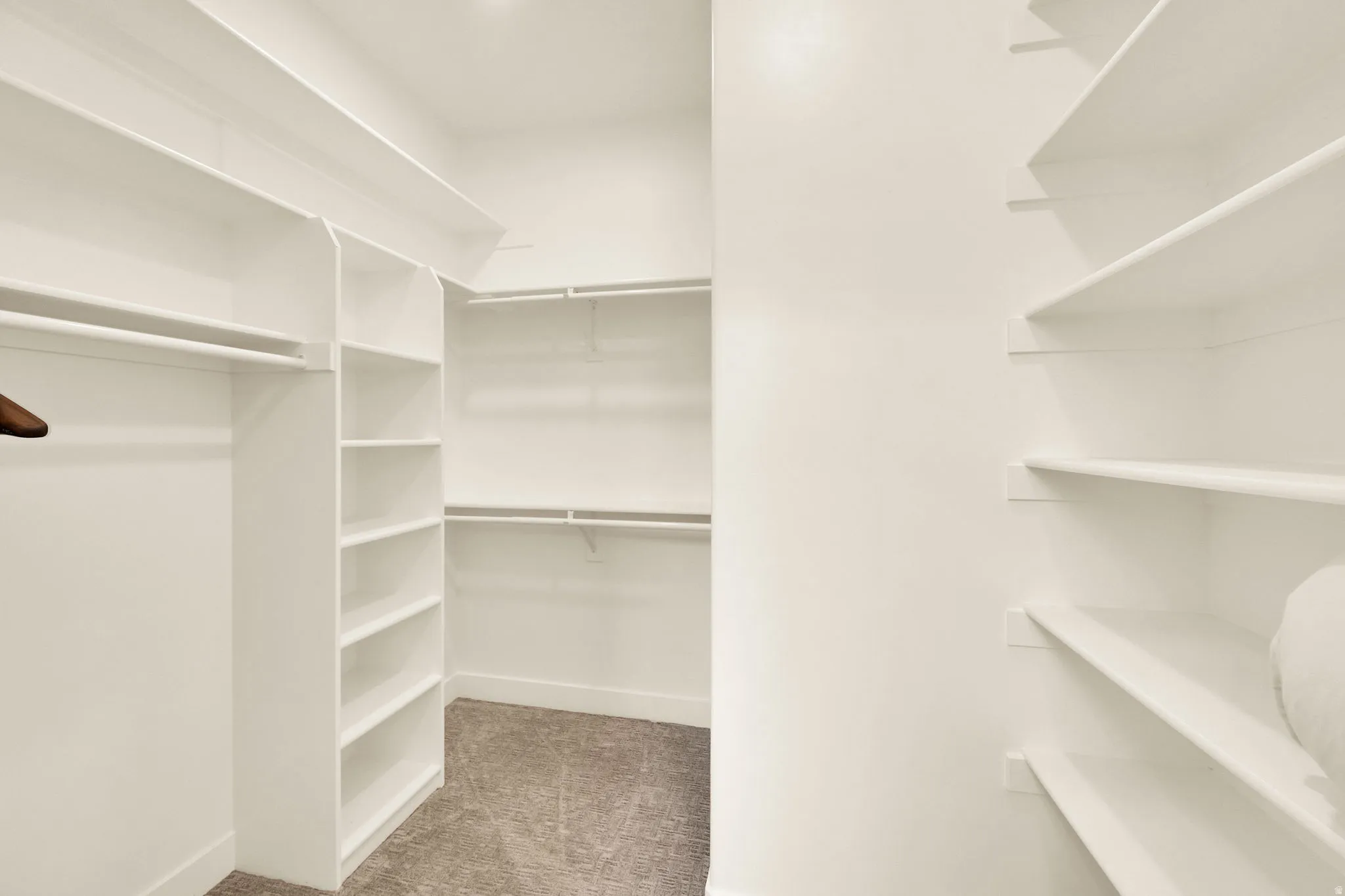 Walk-in closet featuring built-in white shelving, multiple hanging rods, and carpet flooring