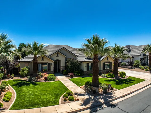 Desert landscaping with mature palm trees and manicured lawn