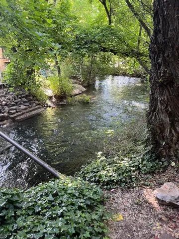 Natural water feature with surrounding lush green foliage