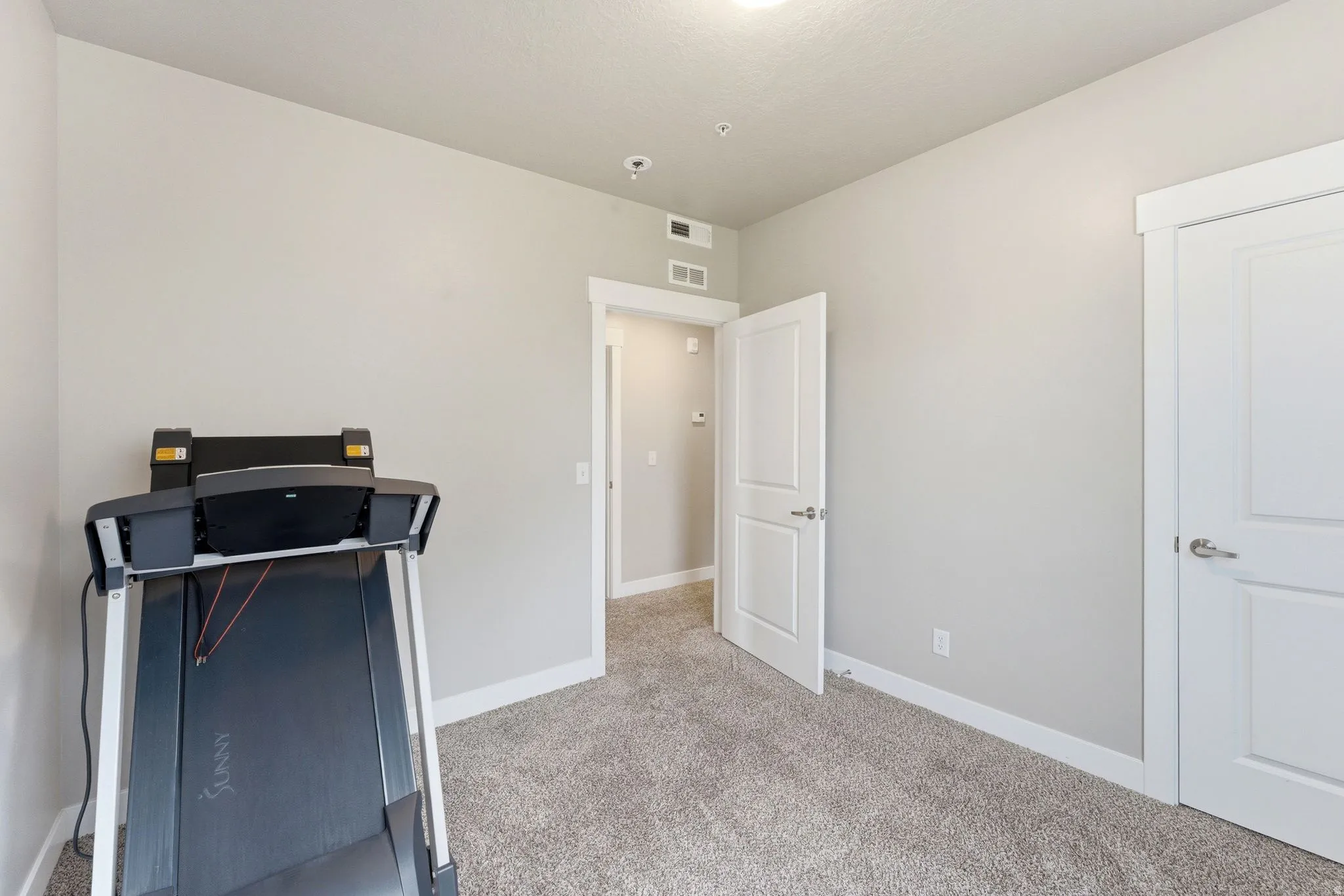 Carpeted room featuring light gray walls, white trim, and two white panel doors