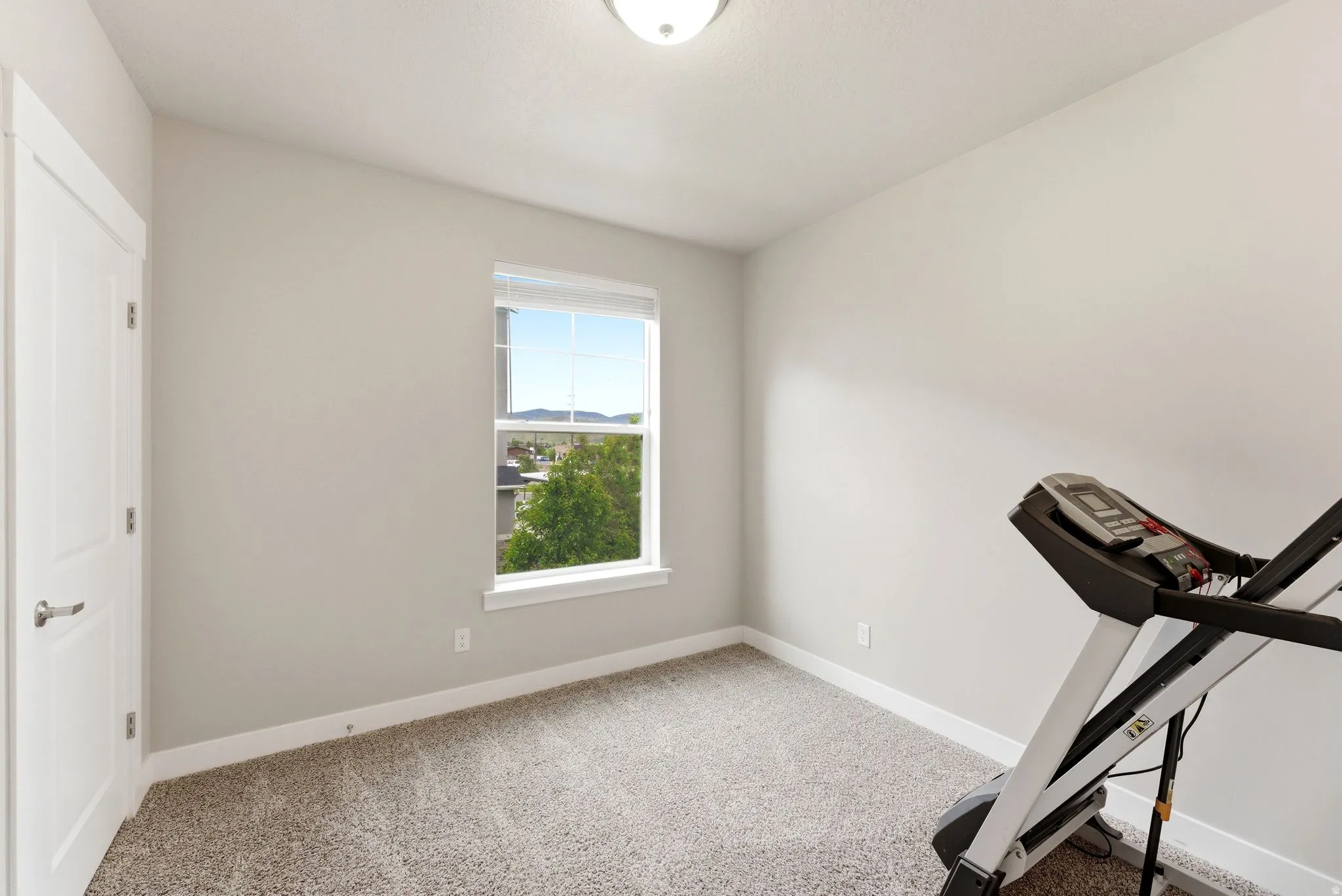Compact room featuring light gray walls, plush carpet flooring, white trim, a single window, and a flush mount ceiling light fixture