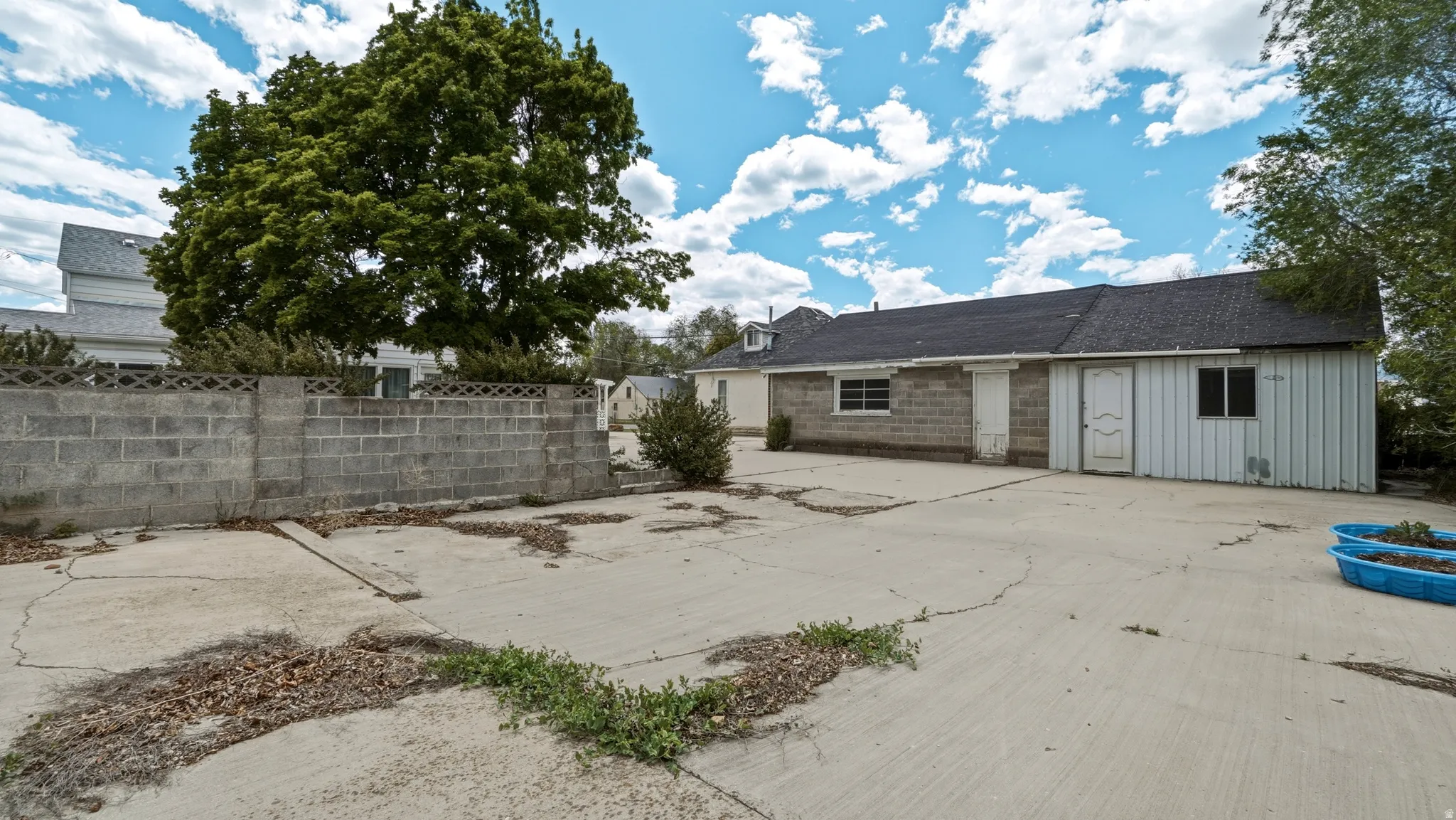 Expansive concrete surface with a cinder block wall and mature tree