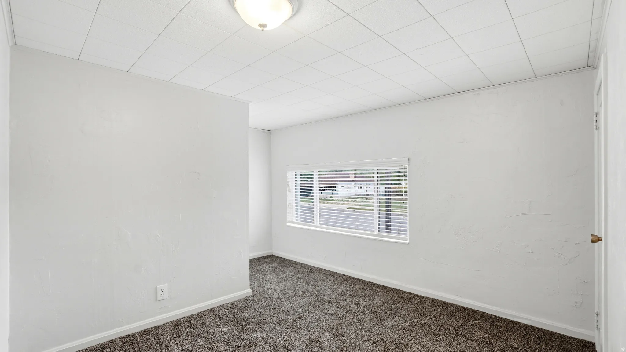Carpeted interior room with a window featuring blinds, a white door with a brass-finish knob, and a ceiling-mounted light fixture