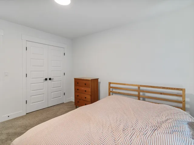 Neutral wall finishes, plush carpet flooring, a ceiling-mounted light fixture, and white double doors with black hardware