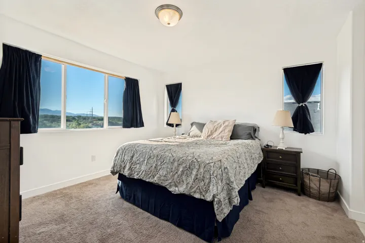 Bedroom featuring light neutral wall paint, carpet flooring, a large multi-pane window, and a smaller vertical window