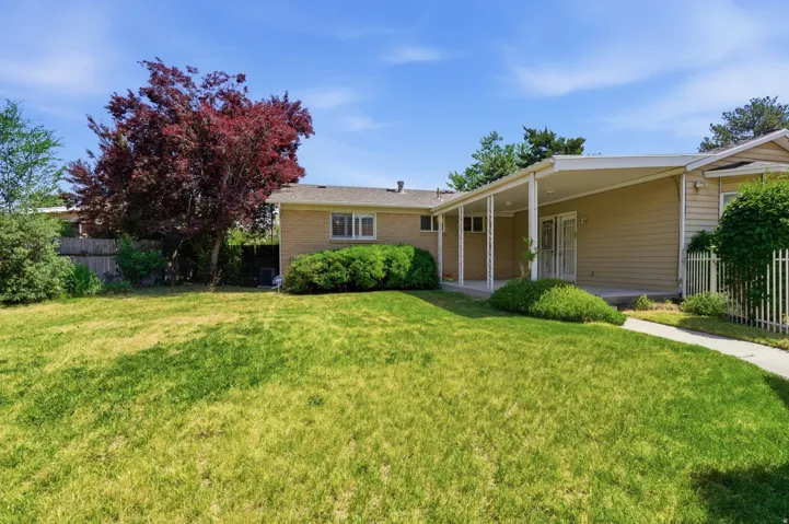 Expansive front lawn with a mature red-leaf tree and established green landscaping