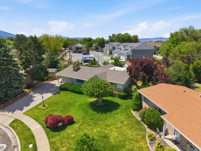 Expansive green lawn with mature trees and established landscaping