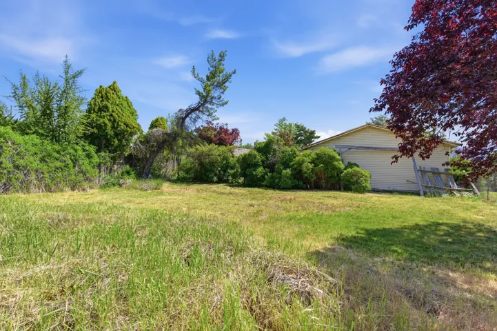 Expansive grassy area featuring mature trees and shrubbery, with a light-colored exterior building in the background