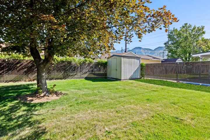 Expansive backyard with a large shade tree, lush lawn, storage shed, and chain-link fencing