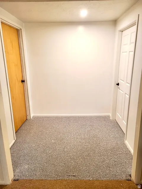 Hallway featuring light gray speckled carpeting