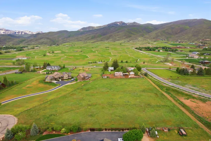 Expansive green landscape with distant mountains