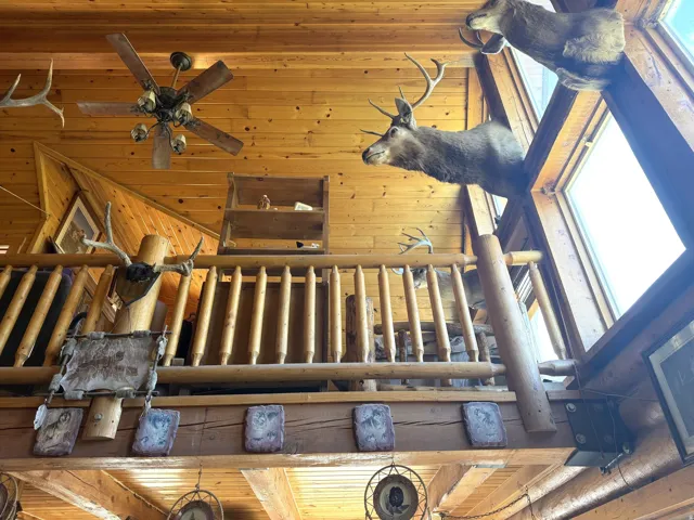 Vaulted wood-paneled ceiling with a central ceiling fan